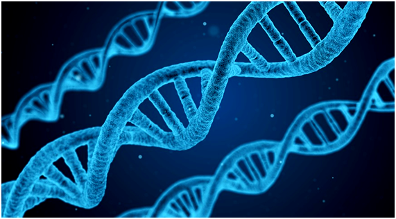 Photo of Funeral Potatoes